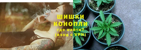 прущие грибы Новокубанск