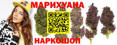 индика Ипатово