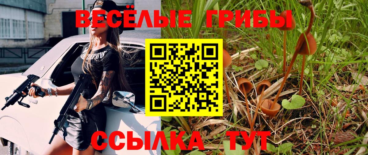 Магнитогорск  Галлюциногенные грибы GOLDEN TEACHER  Вход с VPN  Галлюциногенные грибы Cubensis 