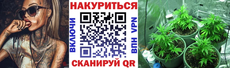 где можно купить наркотик  Магнитогорск  Бошки марихуана гибрид 