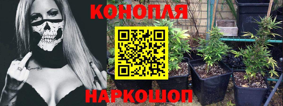 Магнитогорск  Бошки марихуана семена  Вход с VPN  МАРИХУАНА Ganja  Бошки Шишки MAZAR 